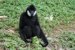 Safari Park Shenzhen
