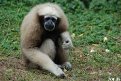 Safari Park Shenzhen