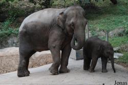 Safari Park Shenzhen