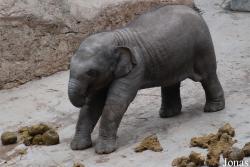 Safari Park Shenzhen