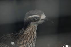 Diergaarde Blijdorp