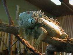 Zoologischer Garten Karlsruhe