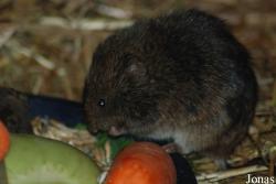 Tierpark Nordhorn