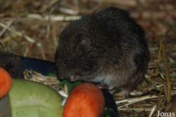 Tierpark Nordhorn