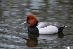 Tierpark Nordhorn