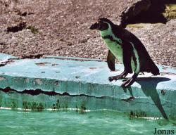 Zoologischer Garten Karlsruhe
