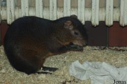 Tierpark Nordhorn