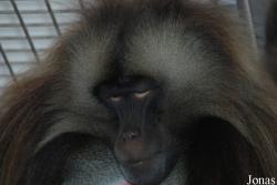NaturZoo Rheine