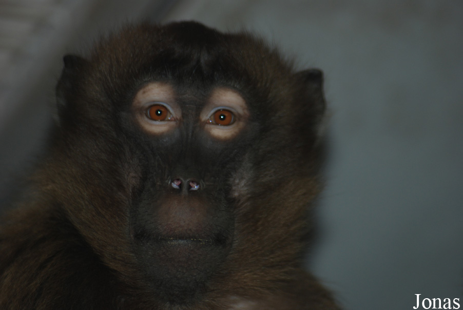 NaturZoo Rheine