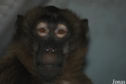 NaturZoo Rheine