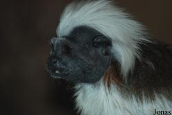 NaturZoo Rheine