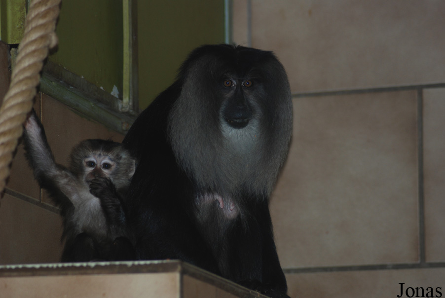 NaturZoo Rheine