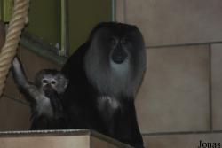 NaturZoo Rheine