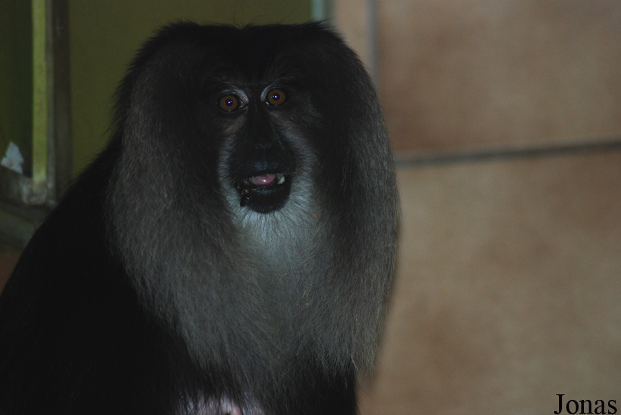 NaturZoo Rheine