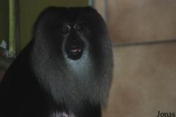 NaturZoo Rheine