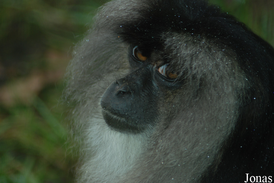 NaturZoo Rheine
