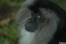 NaturZoo Rheine