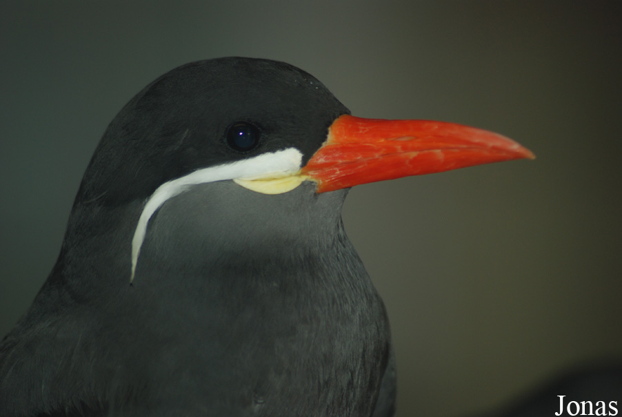 NaturZoo Rheine