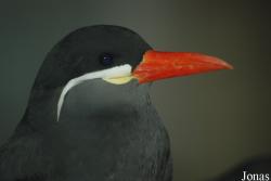 NaturZoo Rheine