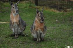 NaturZoo Rheine