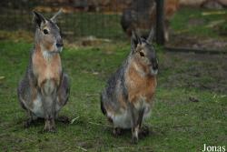 NaturZoo Rheine