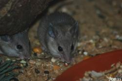 NaturZoo Rheine
