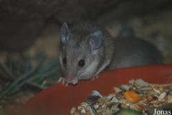NaturZoo Rheine