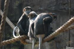 Xiangjiang Safari Park Guangzhou