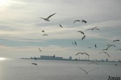 Den Helder