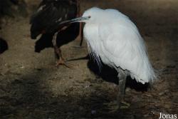 Aachener Tierpark