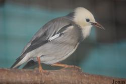 Aachener Tierpark