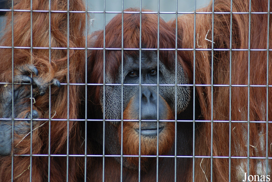 Zoo Basel