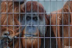 Zoo Basel