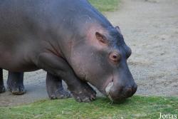 Zoo Basel