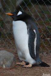 Zoo Basel