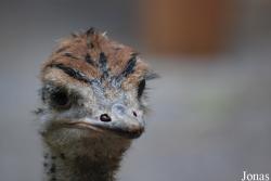 Zoo Basel