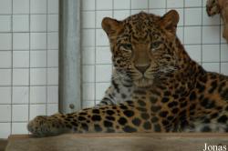 Zoologischer Garten Karlsruhe
