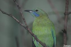 Zoo Basel