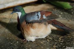 Zoo Basel