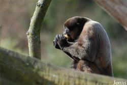 Zoo Basel