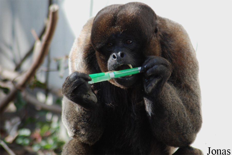 Zoo Basel