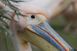 Zoo Basel