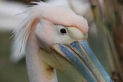 Zoo Basel
