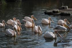 Zoo Basel