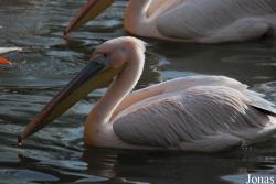 Zoo Basel
