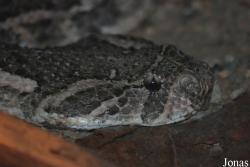 Zoo Basel