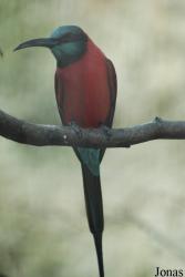 Zoo Basel