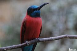 Zoo Basel