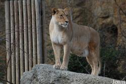 Zoo Basel