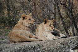 Zoo Basel